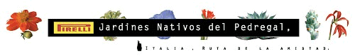 Jard&iacute;nes Nativos del Pedregal